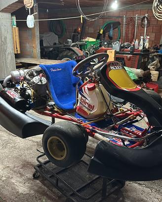 Go-kart kz birel kv95