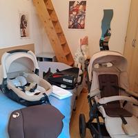 Trio Janè muum  2019