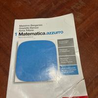 Matematica Azzurro 1