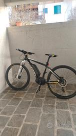 bici elettrica 