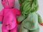 Immagine 3