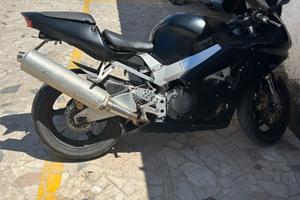 Honda CBR 900 - 2001