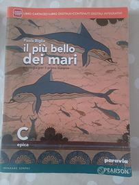 Il più bello dei mari volume C 9788839526298