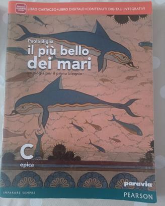 Il più bello dei mari volume C 9788839526298
