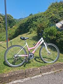 Bici 24 pollici