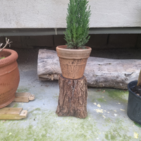 Tronchetto con alberello di natale in vaso di cret