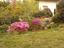 Immagine 18