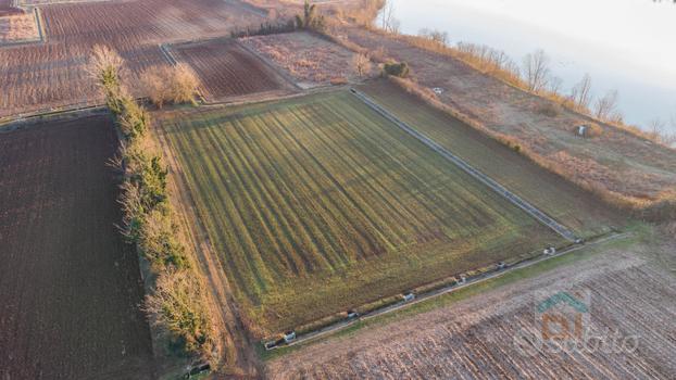 Terreno agricolo