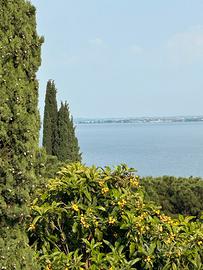 Villa stagione estiva lago di Garda