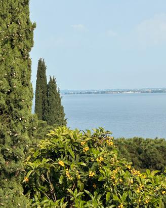 Villa stagione estiva lago di Garda