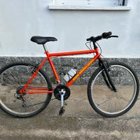 Bicicletta bici
