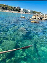 Casa centro e mare a Termoli dal 22 agosto