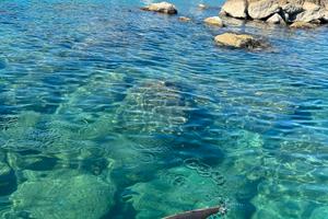Casa centro e mare a Termoli dal 22 agosto