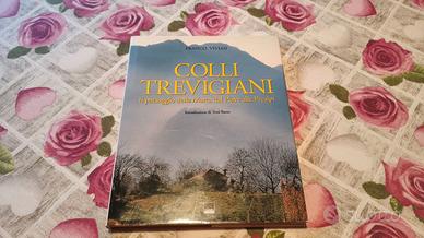 Colli Trevigiani - Vivian - Paesaggio Marca