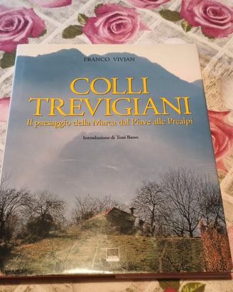 Colli Trevigiani - Vivian - Paesaggio Marca