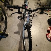Bicicletta ragazza 