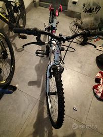 Bicicletta ragazza 