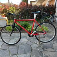 bici mountain bike