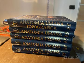 Anatomia umana Anastasi