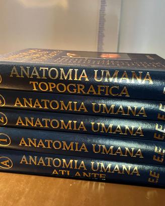 Anatomia umana Anastasi