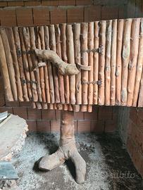 mobili in radica di ulivo