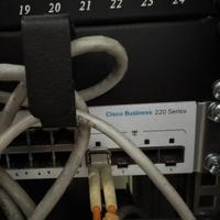 Switch 52 porte cisco business 220 series