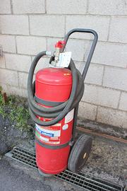 estintore carrellato kg 30 di polvere - kg 65 tot