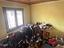 Immagine 7