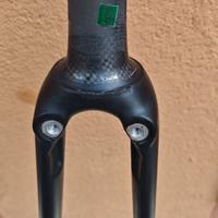 Forcella Bici da corsa Specialized FACT Carbon 