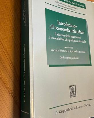 Libro introduzione all'economia aziendale
