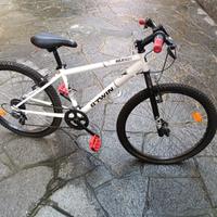 Bicicletta 24