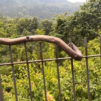 colletore ktm exc 450 2008-2011