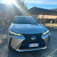 Lexus UX 250h allestimento Luxury
