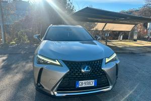 Lexus UX 250h allestimento Luxury