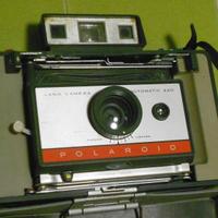polaroid 220