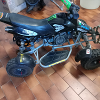 Mini quad