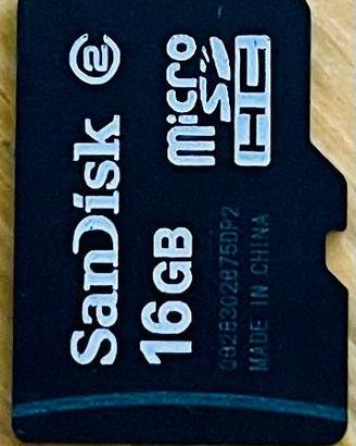 4 Micro SD (16GB SanDisk, 8GB Samsung, 2GB e 1 GB