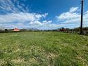 valmontone-terreno-agricolo-pianeggiante