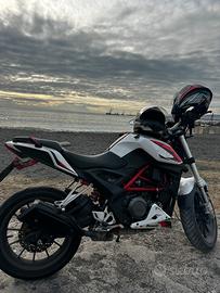 Benelli bn 251 2017