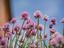 Immagine 10