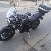 Tiger 800