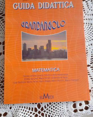 GUIDA DIDATTICA GRANDANGOLO MATEMATICA 2^ciclo