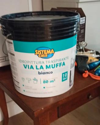 idropittura traspirante antimuffa bianca NUOVA10LT