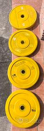 Bumpers da 15kg