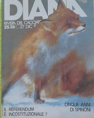 Diana n.25/25 del 27 dicembre 1980