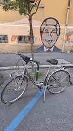 Bici Vicini con cambio Shimano e accessori