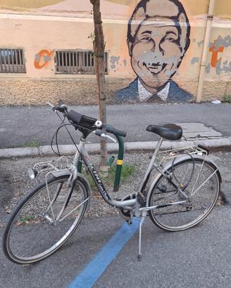 Bici Vicini con cambio Shimano e accessori