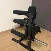 Leg extension leg curl