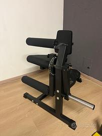 Leg extension leg curl