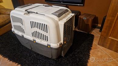 Kennel trasportino cani